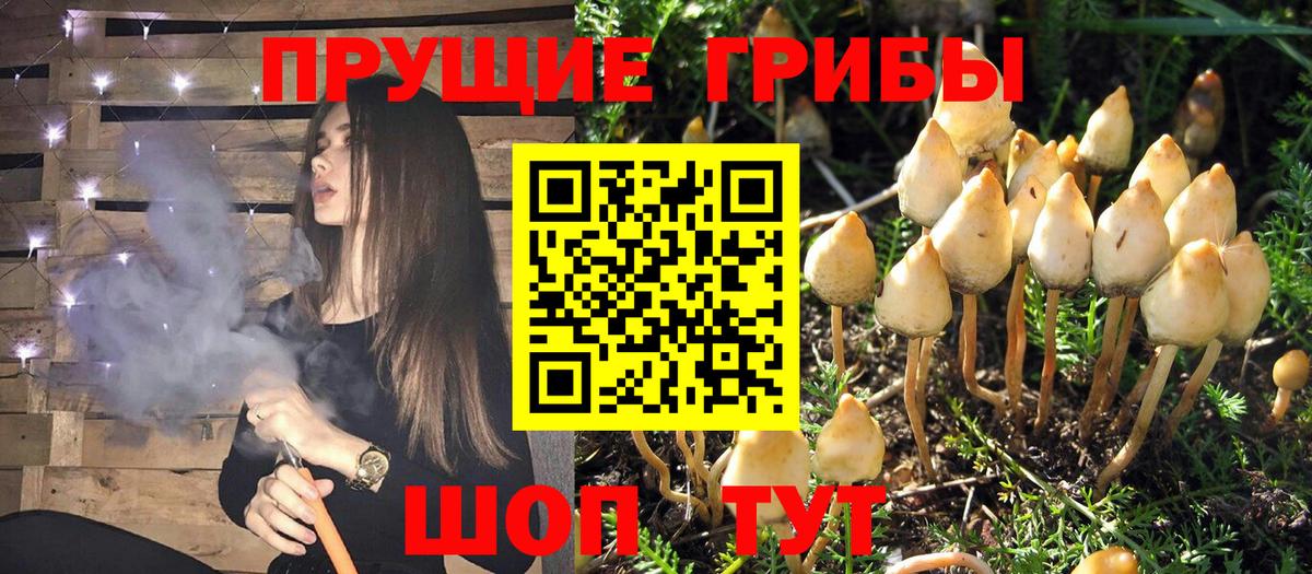 Псилоцибиновые грибы Magic Shrooms  Вход с VPN  Искитим 