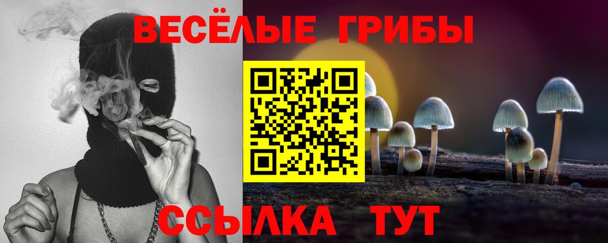 Галлюциногенные грибы мухоморы Искитим